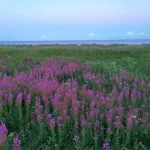 Дом отдыха Seaside Serenity In Marielyst Boto By