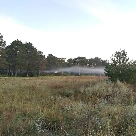 Ferienhaus Seaside Serenity In Marielyst *